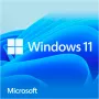 Windows 11 Home, sistemska programska oprema 64-Bit, nemščina, USB bliskovni pogon