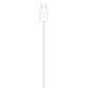 APPLE polnilnik MagSafe (1 m) (MX6X3ZM/A)