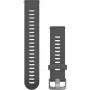 Garmin 010-11251-1N siv