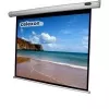 Celexon Economy električno platno - platno - možna stropna montaža, primerno za stensko montažo - motorizirano - 250 cm (98 inch) - 4:3 (1090073)