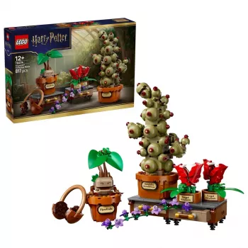 LEGO Harry Potter 76474 rastline zeliščarstva v Hogwartsu (817 kosov)