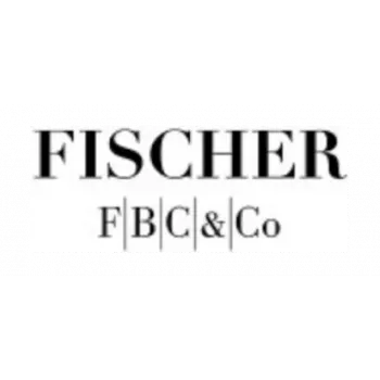 FISCHER kolesarska akumulatorska zračna tlačilka s powerbank, bela 50375:FISCHER
