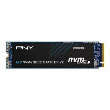 PNY CS1030 256GB M.2 2280 PCIe NVMe Gen3 x4 interni trdi disk SSD (Bulk)