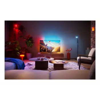 Philips 43PUS8001 43 inch 4K QLED Ambilight pametni TV