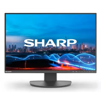 DD-EA241W ČRNA 24 ZOLL IPS 1920X1200 16:10 5MS 1000:1 3