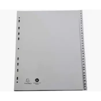 Exacompta 2931E A4 Maxi registri 1-31, sivi