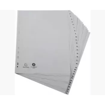 Exacompta 2931E A4 Maxi registri 1-31, sivi