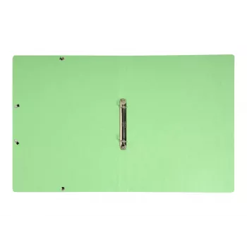 Exacompta Iderama registrator A4, hrbet 20 mm, janeževa zelena (54893E)