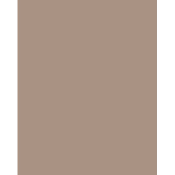 Folia 614/50 73 Cappuccino Solid A4 karton 300 g/m² 50 listov