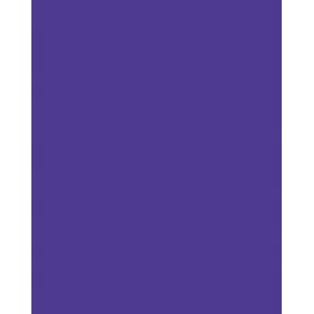 Folia 614/50 32 – vijolična – enobarvna – A4 (210 x 297 mm) – 300 g/m² – 50 listov – Nemčija