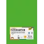 Folia 614/50 55 – zelena – enobarvna – A4 (210 x 297 mm) – 300 g/m² – 50 listov – Nemčija