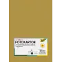 Folia 614/50 65 – zlata – enobarvna – A4 (210 x 297 mm) – 300 g/m² – mat – 50 listov