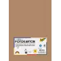 Folia 614/50 75 – rjavo-rdeča – enobarvna – A4 (210 x 297 mm) – 300 g/m² – 50 listov – Nemčija