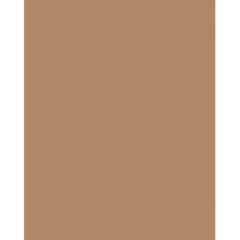 Folia 614/50 75 – rjavo-rdeča – enobarvna – A4 (210 x 297 mm) – 300 g/m² – 50 listov – Nemčija