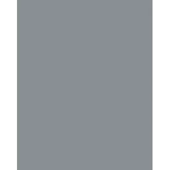 Folia 614/50 84 – siva – enobarvna – A4 (210 x 297 mm) – 300 g/m² – 50 listov – Nemčija