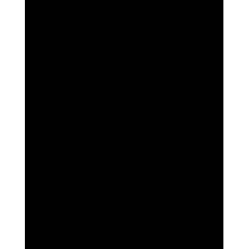 Folia 614/50 90 – črna – enobarvna – A4 (210 x 297 mm) – 300 g/m² – 50 listov – Nemčija