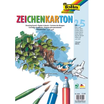 Folia risalni karton bel 120 g/m² 25 listov DIN A4