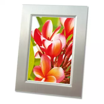 Avery Zweckform 2556-20 premium sijajni foto papir, sijaj, A4, 250 g/m², 20 listov