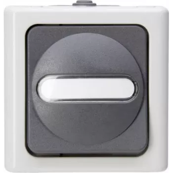 Heinrich Kopp tipkalo 1P siva/bela termoplast IP44 78mm