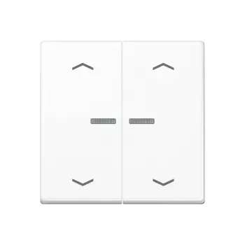 JUNG Home tipka 2-kratna Bluetooth AS 17102 P WW