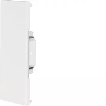 HAGER zaključni pokrov BRS6517069016 jeklena pločevina 68x170mm OT80mm