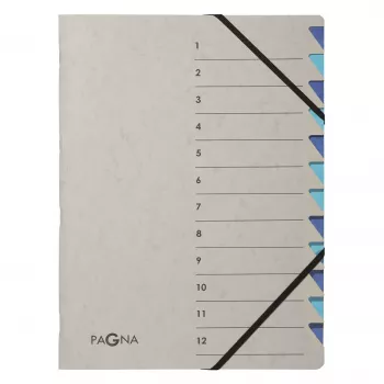 Pagna 44312-02 mapa z 12 predali, A4, siva