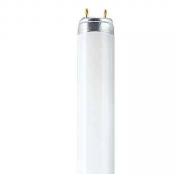 OSRAM L T8 36W/840 G13 fluorescentna cev 1200mm 4000K hladna bela