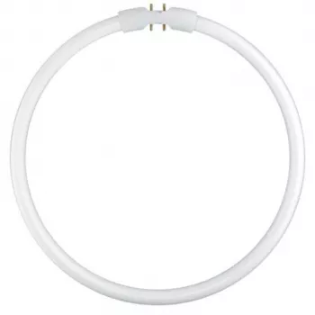 Osram obročasta fluorescentna sijalka T5 FC22W 840 2GX13