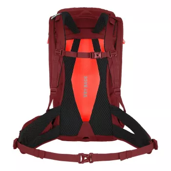 SALEWA Alp Trainer 20 ženski nahrbtnik Syrah