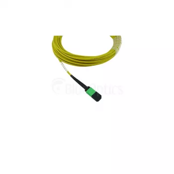 BlueOptics Cisco CB-M12-M12-SMF1M MPO-12 vtičnica na MPO-12 vtičnica OS2 enorodno stekleno vlakno patch kabel, 1m, LSZH, rumen
