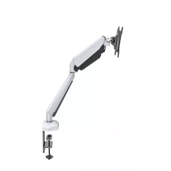 Rockstable RS-MM010W profesionalno držalo za en monitor - namizna spona/prehod - 8 kg - 15-32 palcev - 100x100 mm - belo