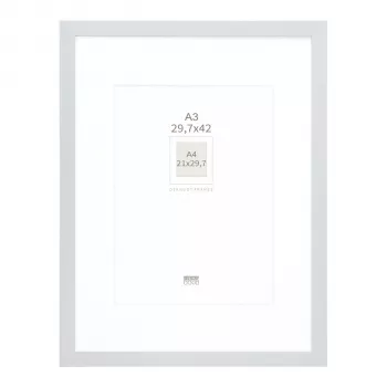Deknudt S66KD1 P1 DIN A3 29.7x42 cm lesen srebrn okvir za slike s paspartujem