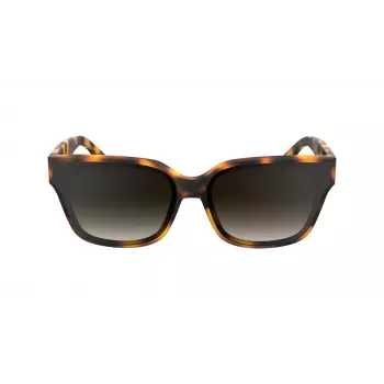 KARL LAGERFELD KL6161S-240 ženska naddimenzijska kvadratna sončna očala, havana rjava z rjavimi gradientnimi stekli, 63/14/140 mm