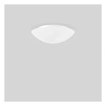 RZB 211059.002 svetilka iz opalnega stekla 2x60W svilnato mat D=370mm