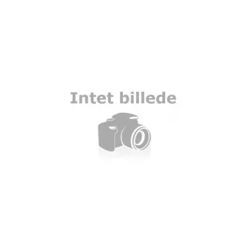 Belkin InvisiGlass zaščitno steklo za iPhone 11 / XR - črno