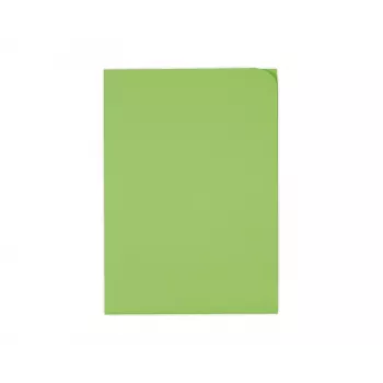 ELCO Ordo Discreta organizacijska mapa A4, 220 x 310 mm, 120 g/m², intenzivno zelena, 100 kosov (29466.62)
