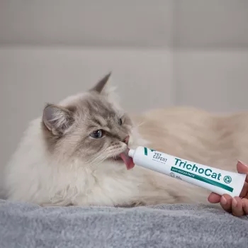 VETEXPERT TrichoCat pasta proti klobčičem dlake za mačke 120 g
