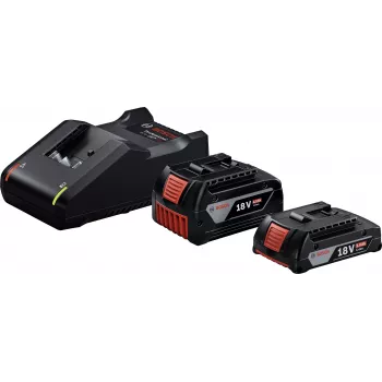 Začetni komplet 18 V (GBA 18 V 4.0/2.0Ah + GAL 18V-40 Professional) (črn, 2x Li-Ion baterija, AMPShare Alliance)