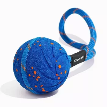 Cheerble Wicked Ball Air Rope pasja igrača, Royal Blue