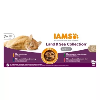 IAMS Delights Senior Land & Sea Collection v omaki 12x85g