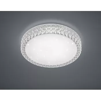 TRIO stropna svetilka Pegasus R62422100 21W LED