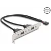 Delock USB 2.0 reža s 2 x EASY-USB Type-A vratoma