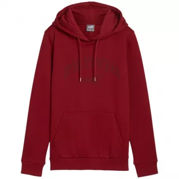 PUMA Essentials+ Logo LAB moška jopa s kapuco FL Burgundy, velikost L