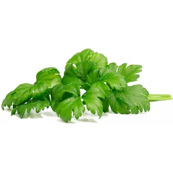 Click & Grow listna zelena rastlinske kapsule za Smart Garden, 3 kosi (SGR97X3)