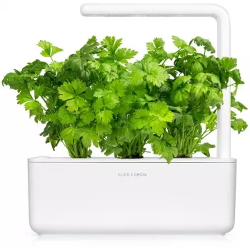 Click & Grow listna zelena rastlinske kapsule za Smart Garden, 3 kosi (SGR97X3)