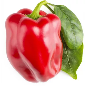 Click & Grow SGR63X3 Smart Garden 3 rastlinske kapsule polnilo (3 kapsule, biorazgradljive, predposejane, Smart Soil)