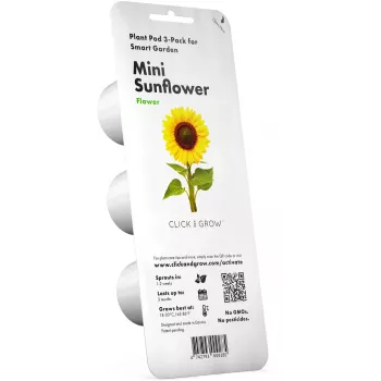 Click & Grow mini sončnica rastlinske kapsule za Smart Garden, 3 kosi (SGR65X3)
