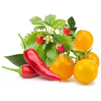 Click & Grow rastlinske kapsule mešanica sadja in zelenjave za Smart Garden, 9 kosov (PPMFVX9)