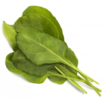 Click & Grow Smart Garden polnilo zeleni blitva, 3 rastlinske kapsule (SGR64X3)