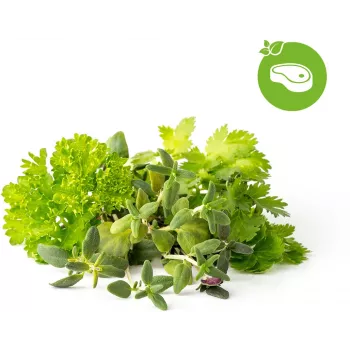 Click & Grow rastlinske kapsule mešanica začimb za zrezek za Smart Garden, 9 kosov (PPMSSX9)